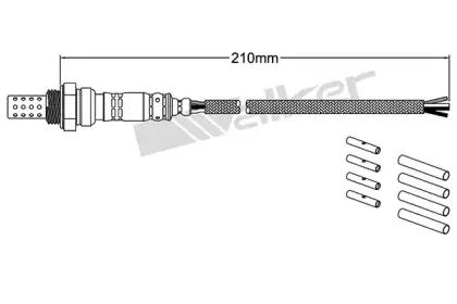 walkerproducts-25024400