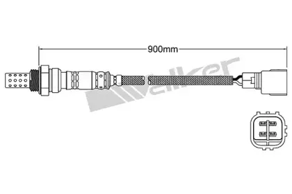 walkerproducts-25024404