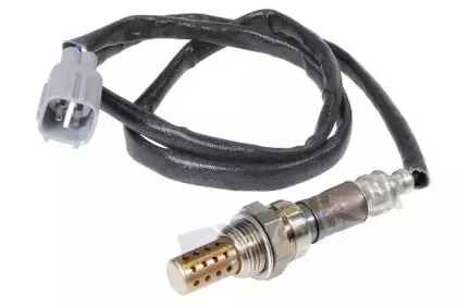walkerproducts-25024404