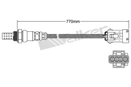 walkerproducts-25024409