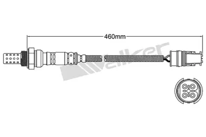 walkerproducts-25024412
