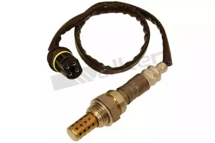 walkerproducts-25024412