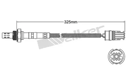 walkerproducts-25024413