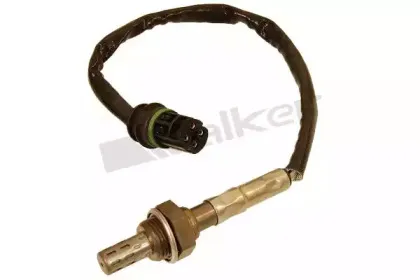 walkerproducts-25024413