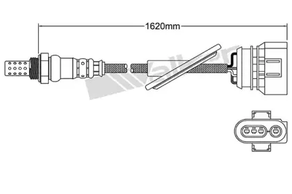 walkerproducts-25024430
