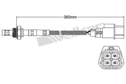 walkerproducts-25024434