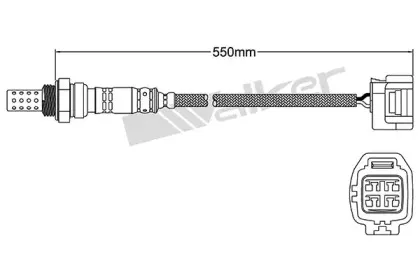 walkerproducts-25024439