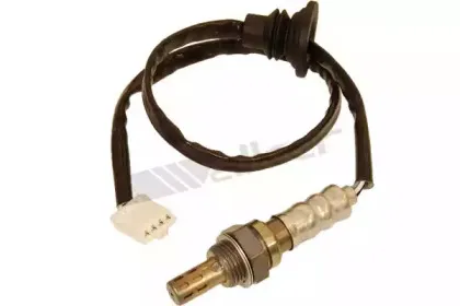 walkerproducts-25024439