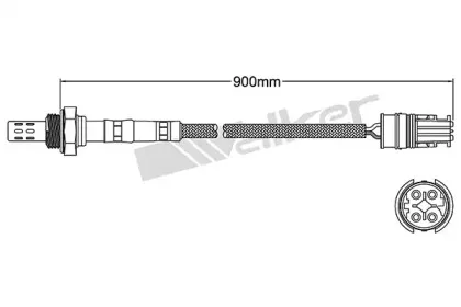 walkerproducts-25024444
