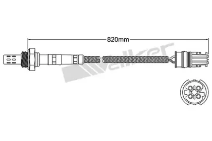 walkerproducts-25024445