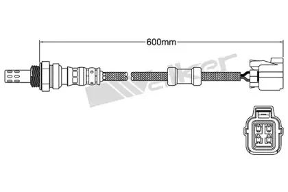 walkerproducts-25024446