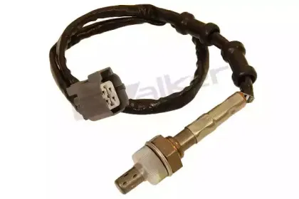 walkerproducts-25024446
