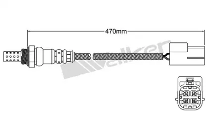 walkerproducts-25024453