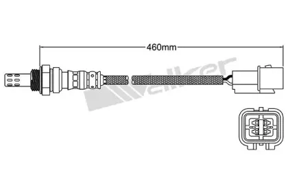 walkerproducts-25024461
