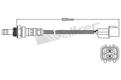 walkerproducts-25024462