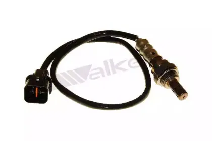walkerproducts-25024462
