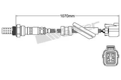 walkerproducts-25024476