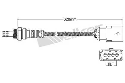 walkerproducts-25024480