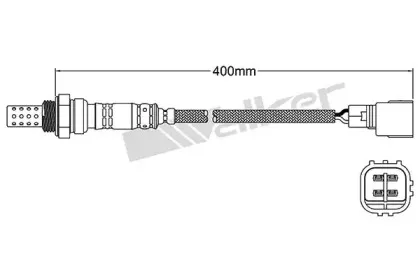 walkerproducts-25024487