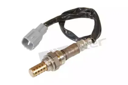 walkerproducts-25024487