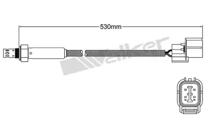 walkerproducts-25024512
