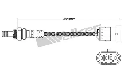 walkerproducts-25024524