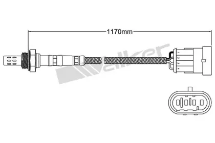 walkerproducts-25024530