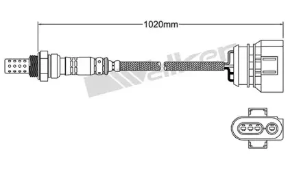 walkerproducts-25024555