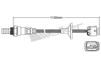 walkerproducts-25024565