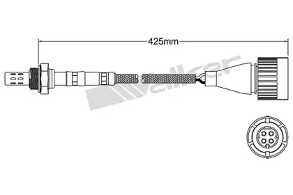 walkerproducts-25024607