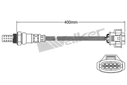 walkerproducts-25024612
