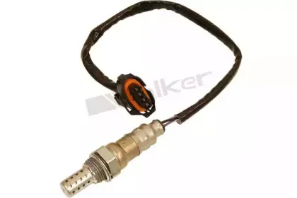 walkerproducts-25024612
