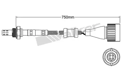 walkerproducts-25024613