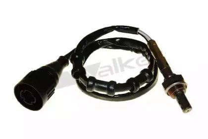 walkerproducts-25024613