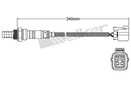 walkerproducts-25024620