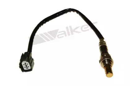 walkerproducts-25024620