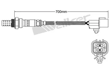 walkerproducts-25024633
