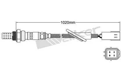 walkerproducts-25024641