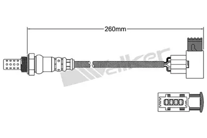 walkerproducts-25024650