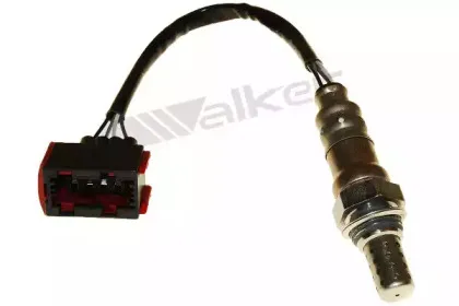 walkerproducts-25024650