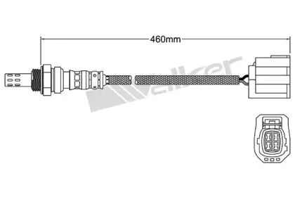 walkerproducts-25024660