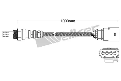 walkerproducts-25024669