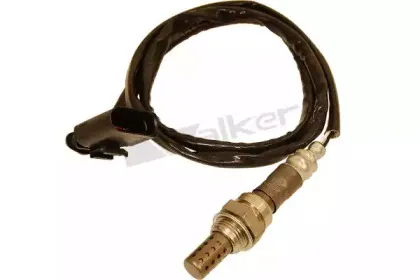 walkerproducts-25024669