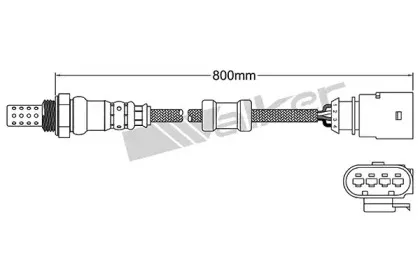 walkerproducts-25024672