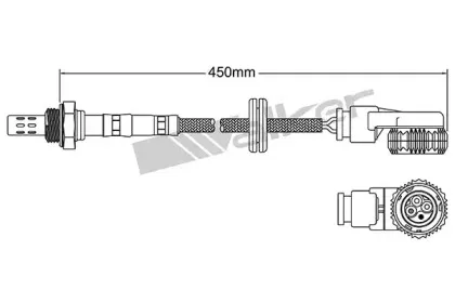 walkerproducts-25024674