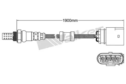 walkerproducts-25024689