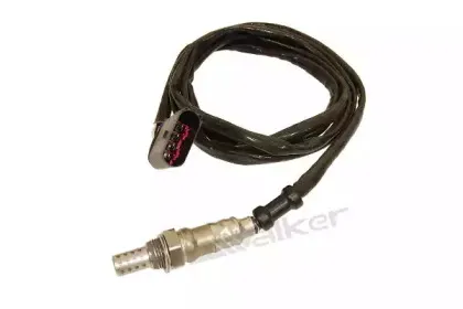 walkerproducts-25024689