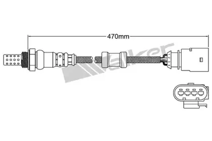 walkerproducts-25024692