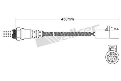 walkerproducts-25024701