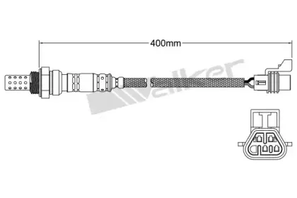 walkerproducts-25024708